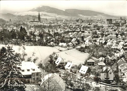 Freiburg breisgau panorama - breisgau,