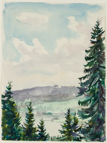 Wingler blick - wingler,